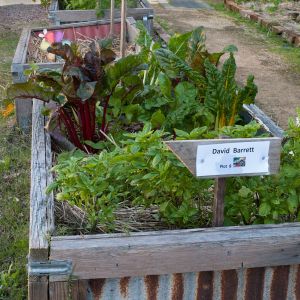 EcoGardenKNC 9web